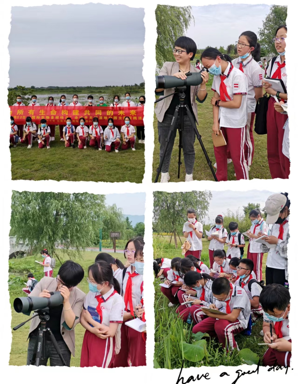 图片4.jpg
