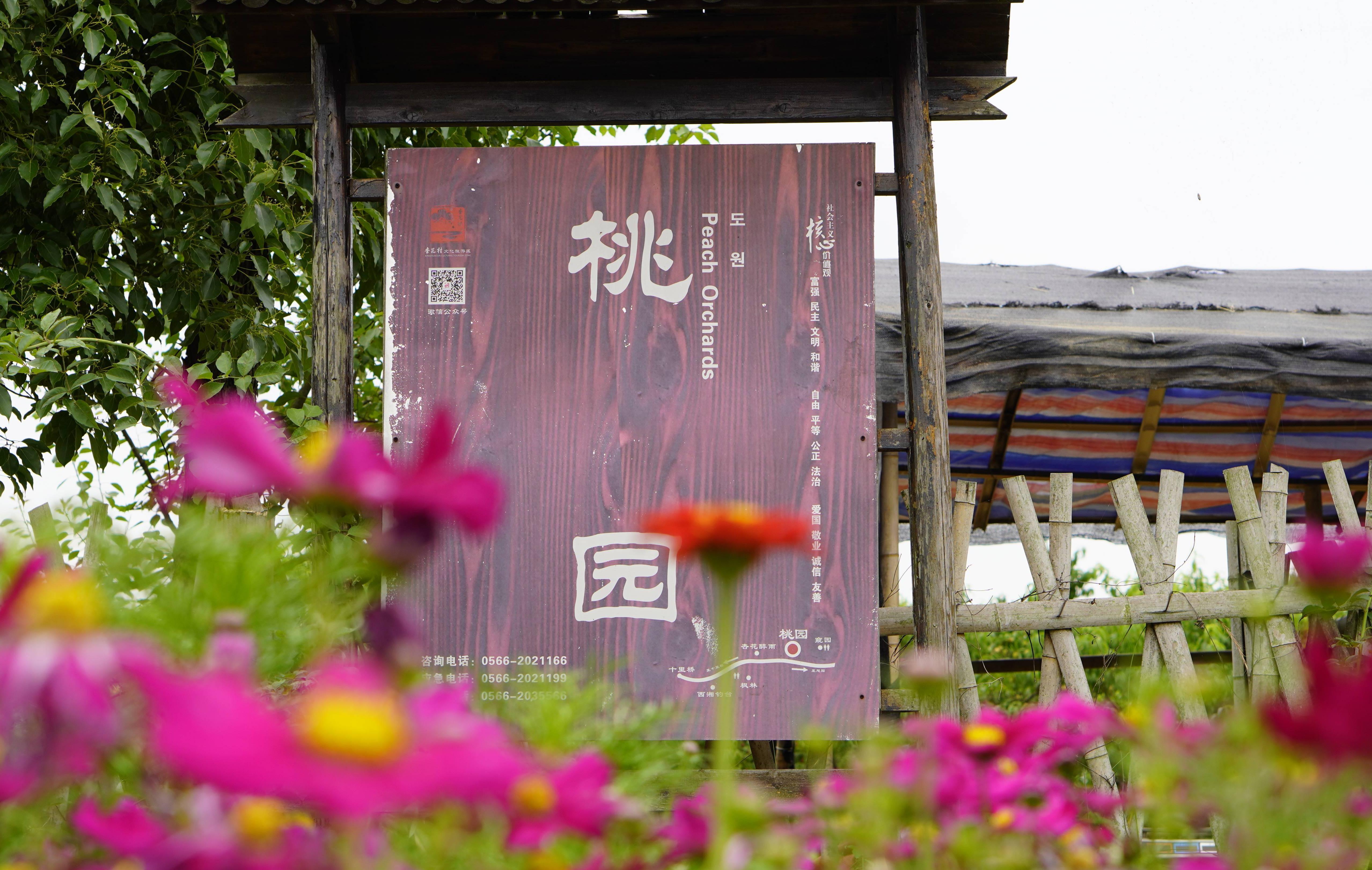 _DSC9509.JPG